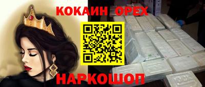 стафф Камышлов