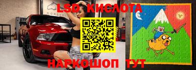 стафф Камышлов