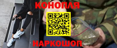 стафф Камышлов