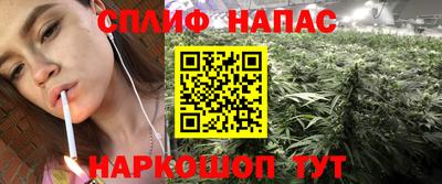 стафф Камышлов