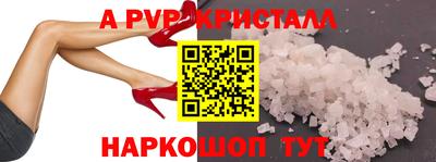 стафф Камышлов