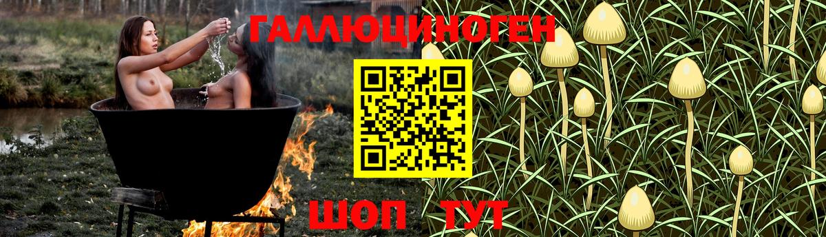 Галлюциногенные грибы MAGIC MUSHROOMS  Псилоцибиновые грибы мухоморы  Людиново  Вход с VPN 